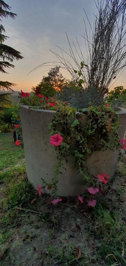 Le Rose Di Mapi Villa Mango Bagian luar foto