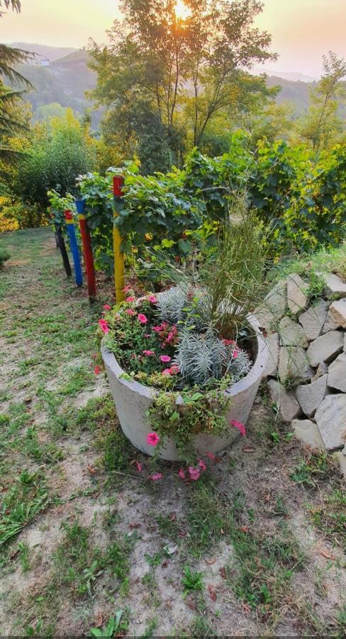 Le Rose Di Mapi Villa Mango Bagian luar foto