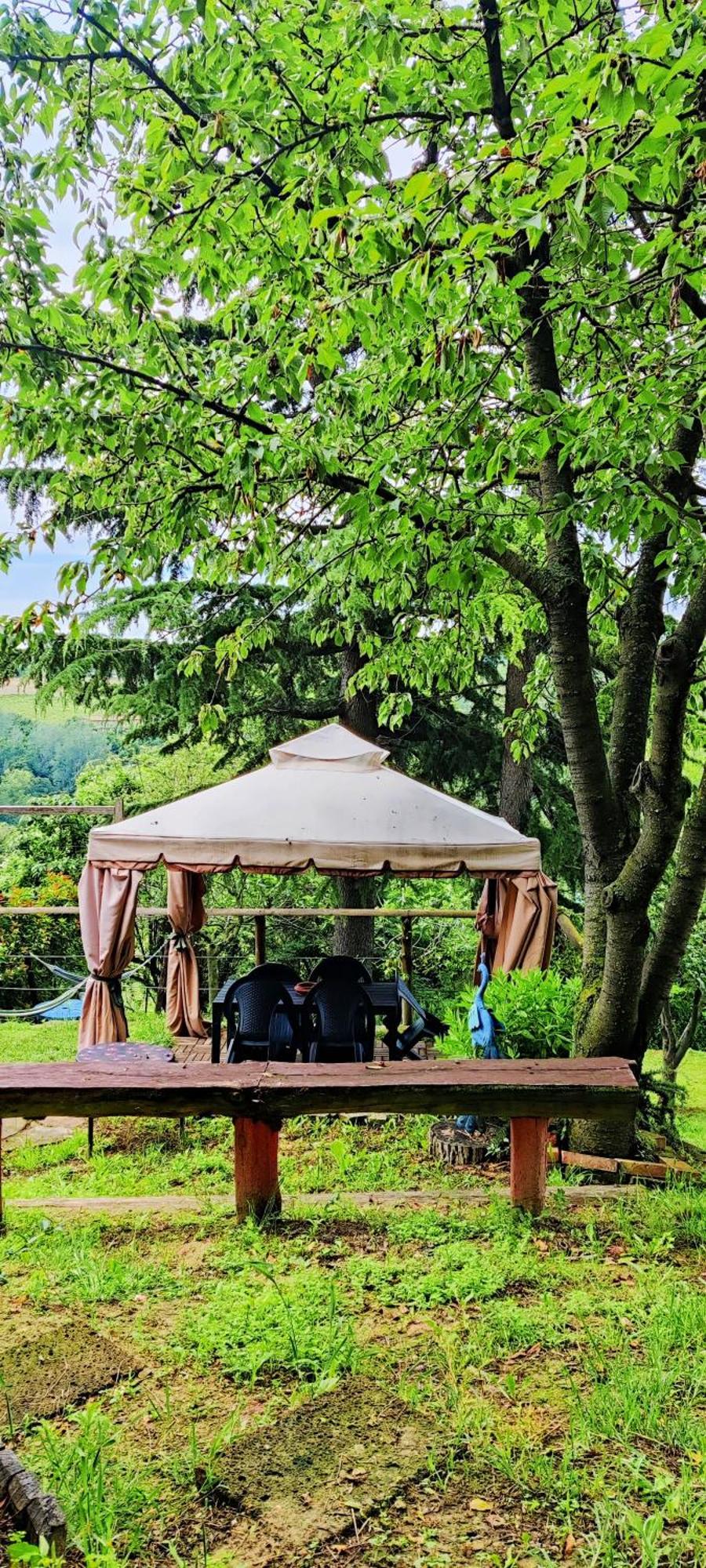 Le Rose Di Mapi Villa Mango Bagian luar foto