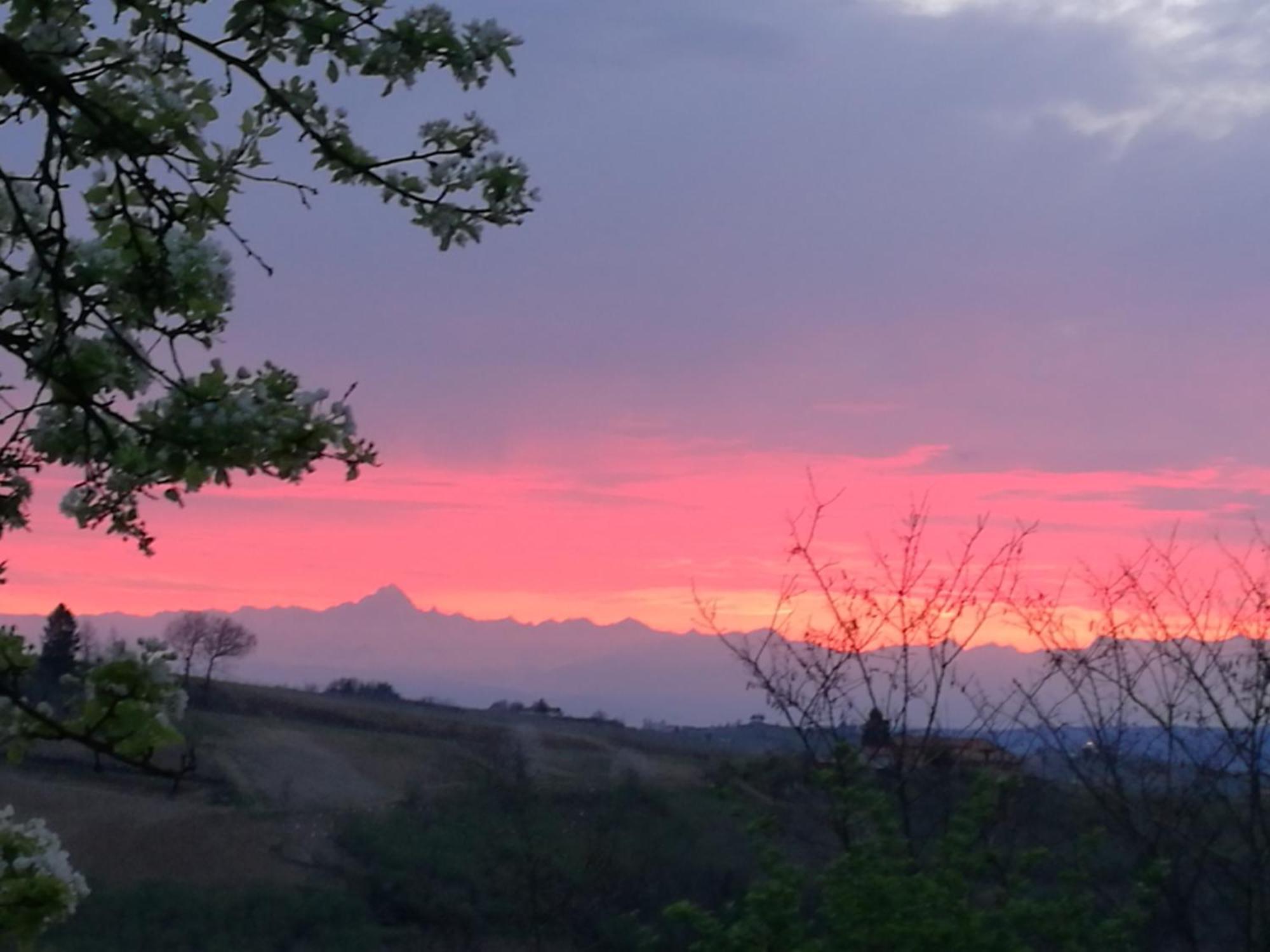 Le Rose Di Mapi Villa Mango Bagian luar foto