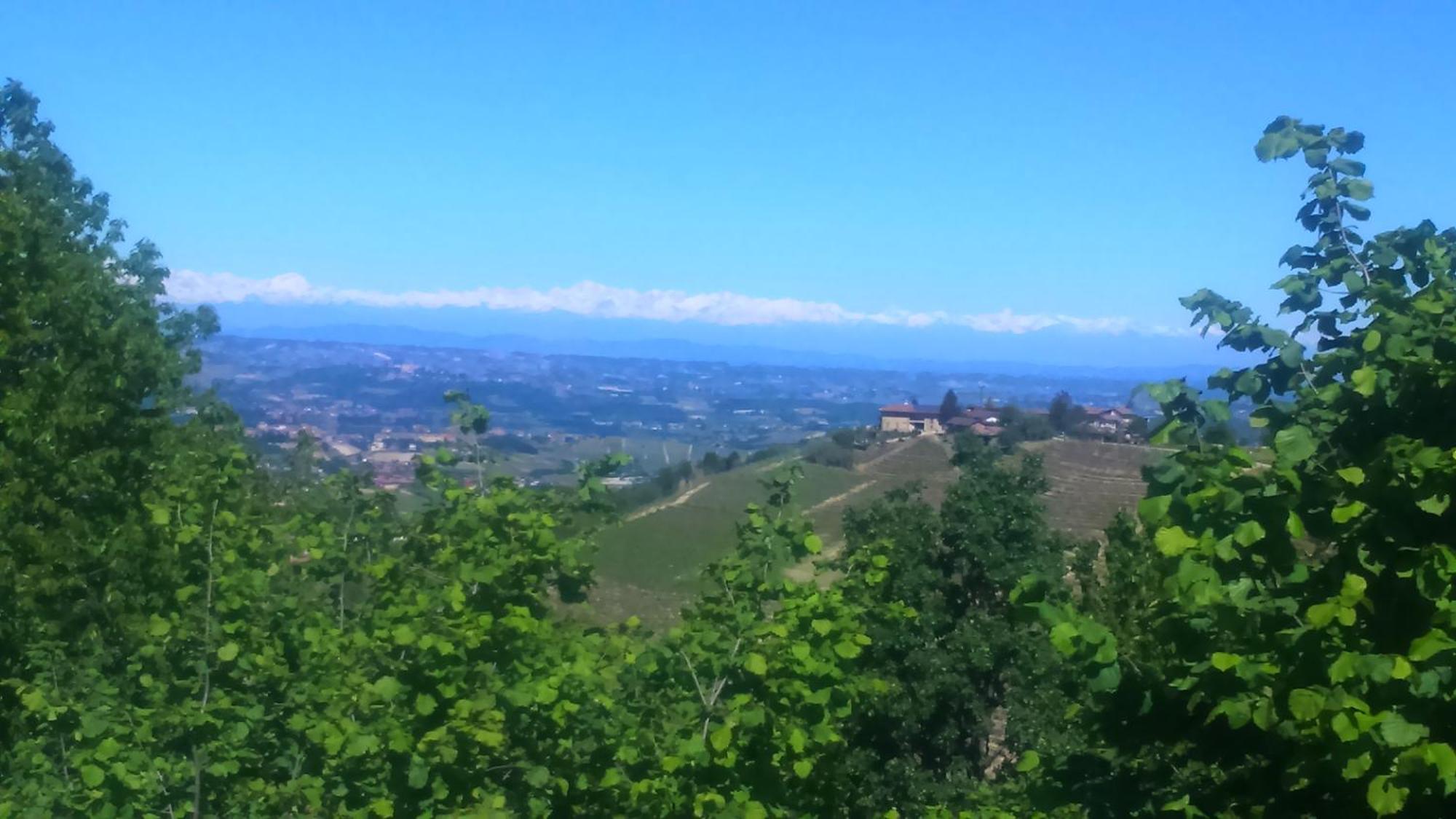 Le Rose Di Mapi Villa Mango Bagian luar foto