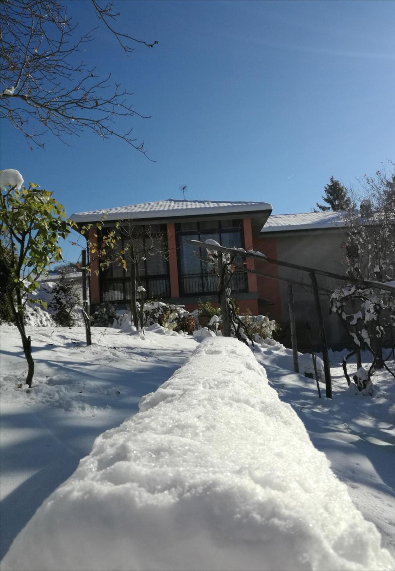 Le Rose Di Mapi Villa Mango Bagian luar foto