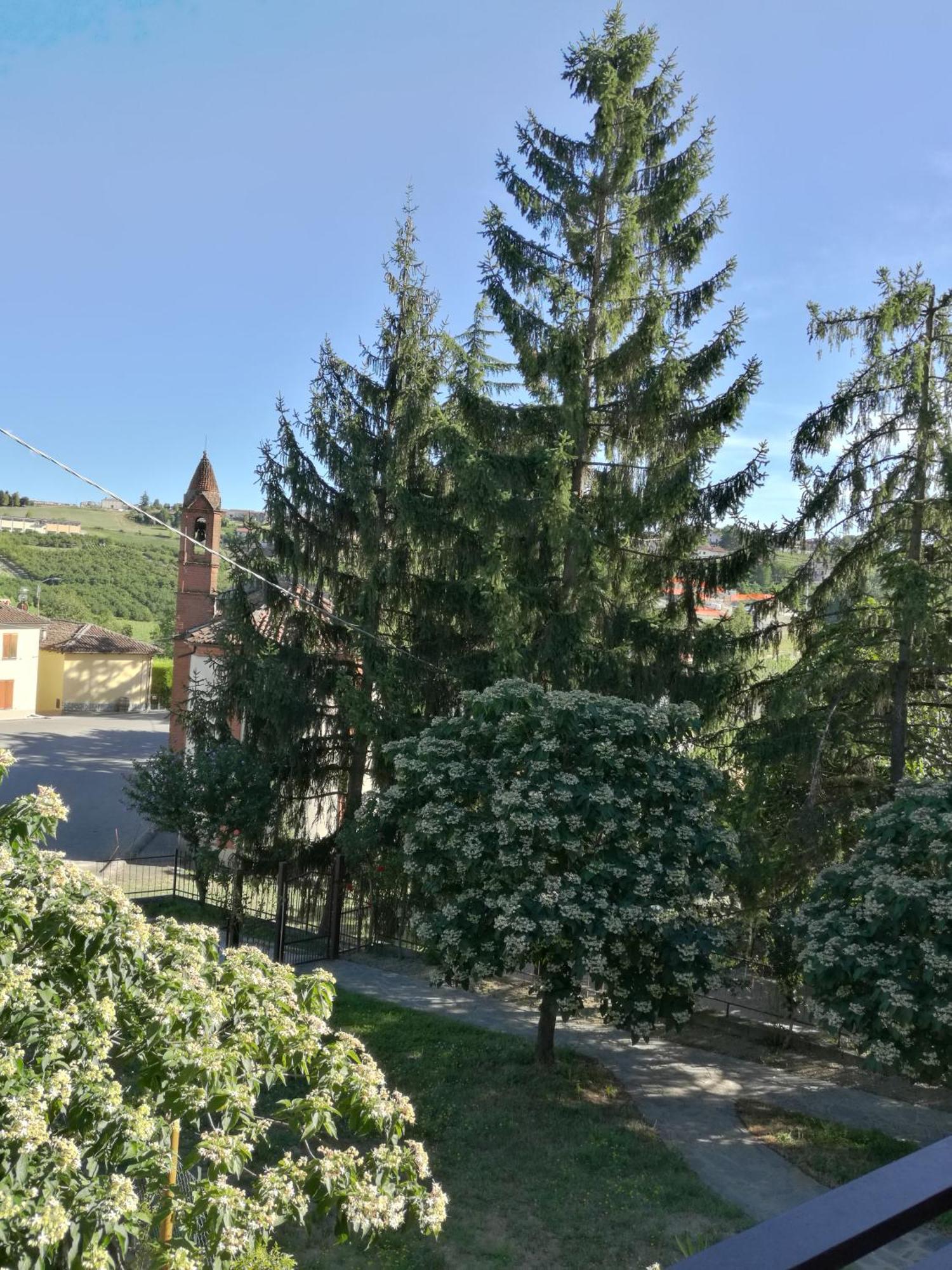 Le Rose Di Mapi Villa Mango Bagian luar foto