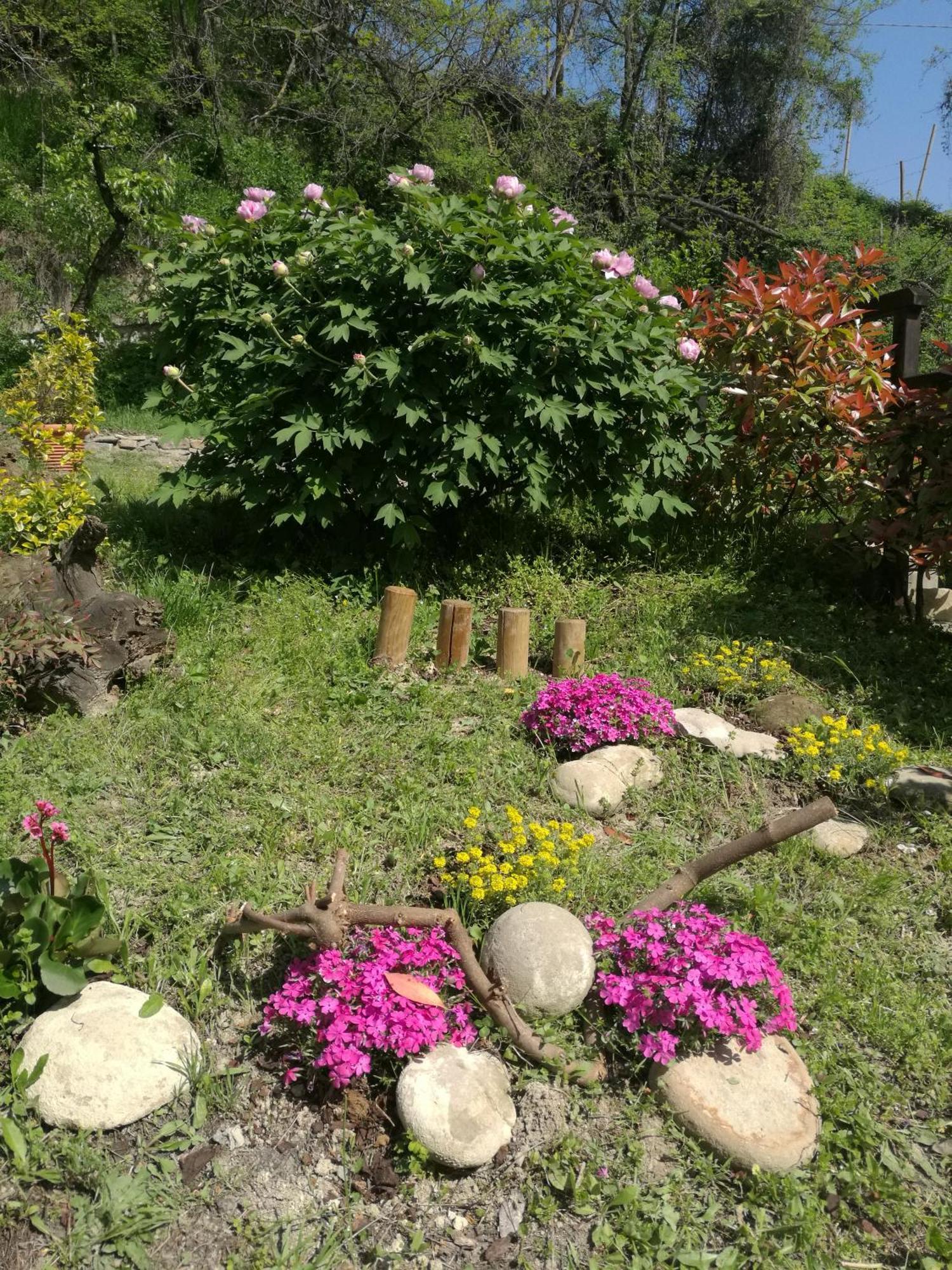 Le Rose Di Mapi Villa Mango Bagian luar foto