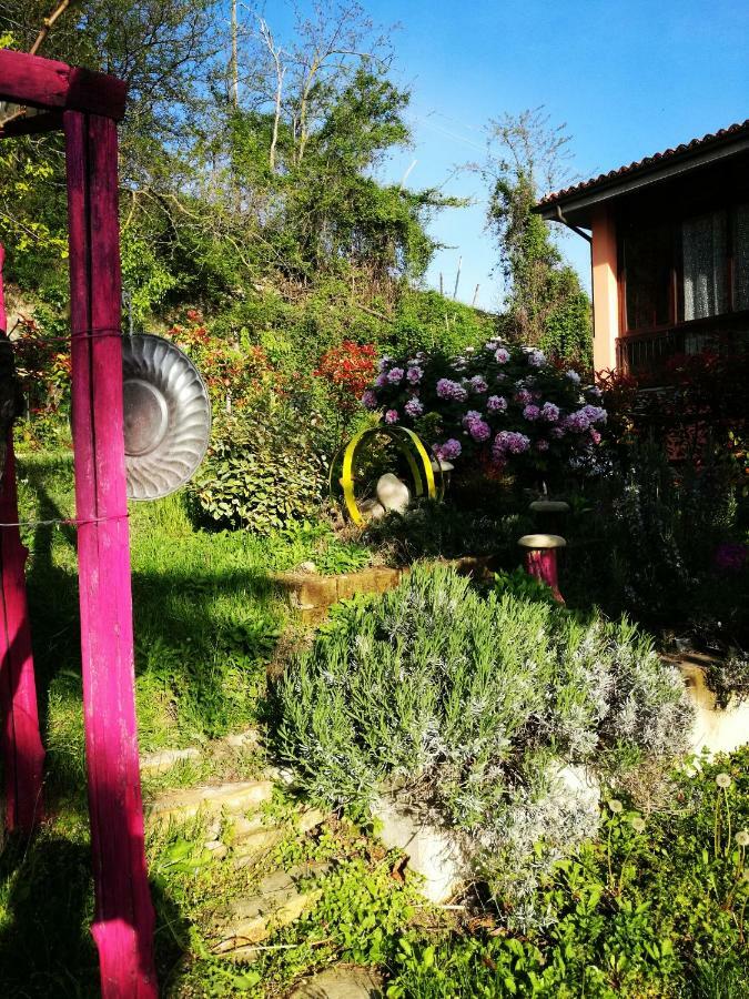 Le Rose Di Mapi Villa Mango Bagian luar foto
